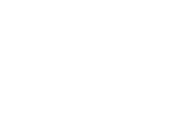 FP Software & Networking Patamia Logo